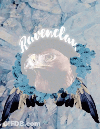 A Picture Of A Bird With The Word Ravenclaw Written On It GIF