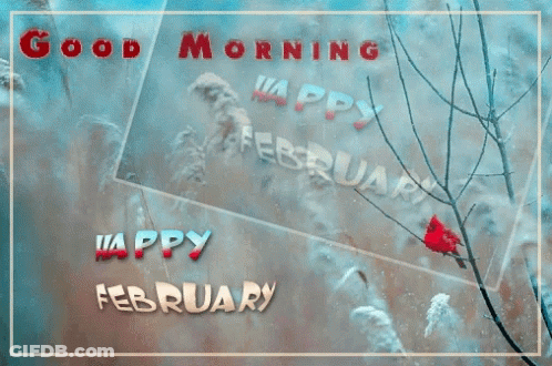 A Picture Of A Bird With The Words Good Morning Happy February On It GIF