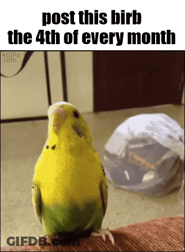 A Picture Of A Bird With The Words Post This Birb The 4Th Of Every Month Below It GIF