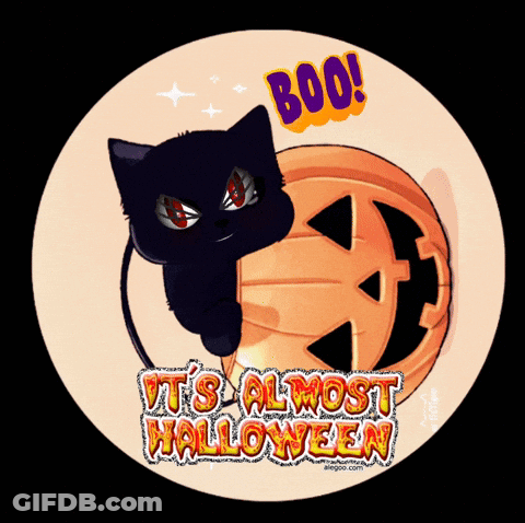 A Picture Of A Black Cat And A Pumpkin That Says Boo GIF