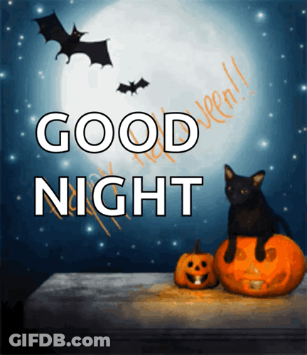 A Picture Of A Black Cat Sitting On A Pumpkin With The Words Good Night Written Above It GIF