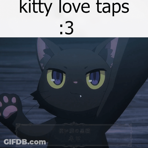 A Picture Of A Black Cat With A Caption That Says Kitty Love Taps GIF