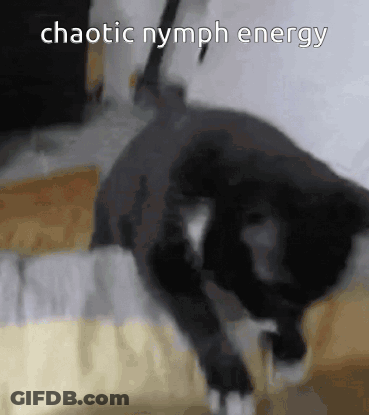 A Picture Of A Black Cat With The Words Chaotic Nymph Energy Written Above It GIF