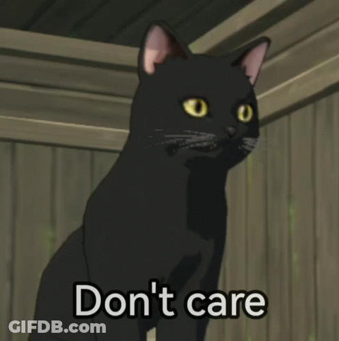 A Picture Of A Black Cat With The Words Do N't Care Below It GIF