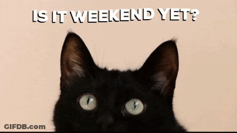 A Picture Of A Black Cat With The Words Is It Weekend Yet Below It GIF