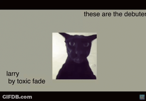 A Picture Of A Black Cat With The Words Larry By Toxic Fade GIF