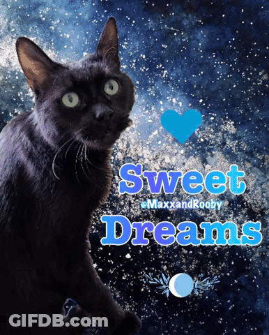 A Picture Of A Black Cat With The Words Sweet Dreams GIF