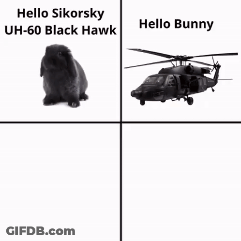 A Picture Of A Black Hawk Helicopter And A Picture Of A Black Bunny GIF