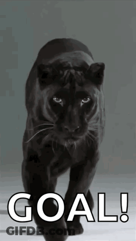 A Picture Of A Black Panther With The Words Goal Written Below It GIF