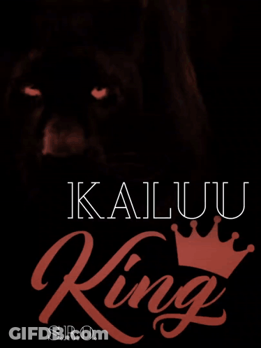 A Picture Of A Black Panther With The Words Kaluu King S.r.o. GIF
