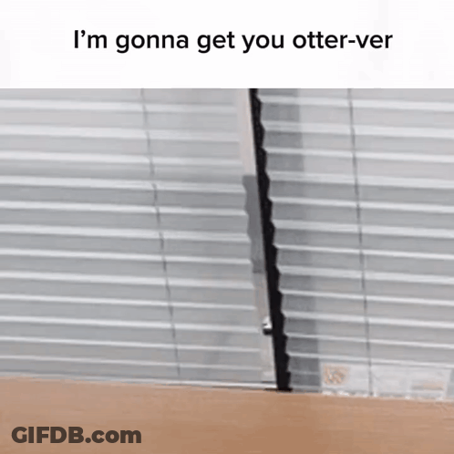 A Picture Of A Blind With The Words `` I 'M Gonna Get You Otter-Ver '' Written On It . GIF