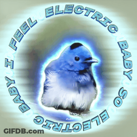 A Picture Of A Blue Bird With The Words " Baby I Feel Electric So Electric " Around It GIF