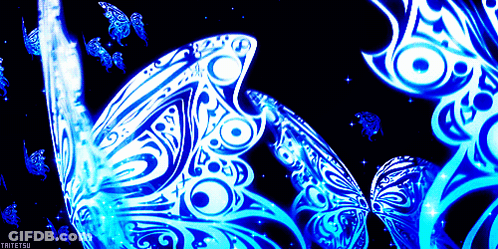 A Picture Of A Blue Butterfly With The Name Taitetsu On The Bottom Right GIF