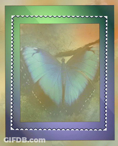 A Picture Of A Blue Butterfly With The Word Happy Written On It GIF