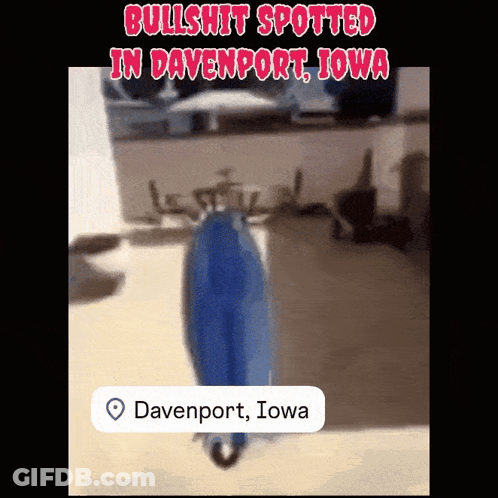 A Picture Of A Blue Object With The Words Bullshit Spotted In Davenport Iowa Above It GIF