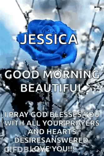 A Picture Of A Blue Rose With The Name Jessica Written On It . GIF