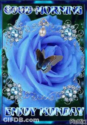 A Picture Of A Blue Rose With The Words Good Morning Enjoy Monday On It GIF