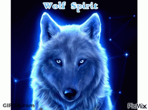 A Picture Of A Blue Wolf With The Words Wolf Spirit On The Bottom GIF