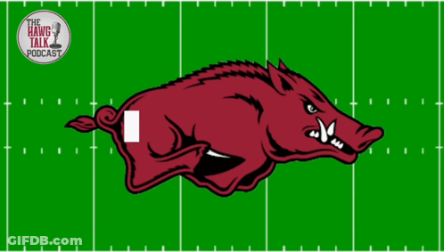 A Picture Of A Boar With The Words Fumble On It GIF