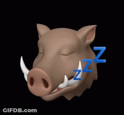 A Picture Of A Boar With The Words " Good Evening " On It GIF