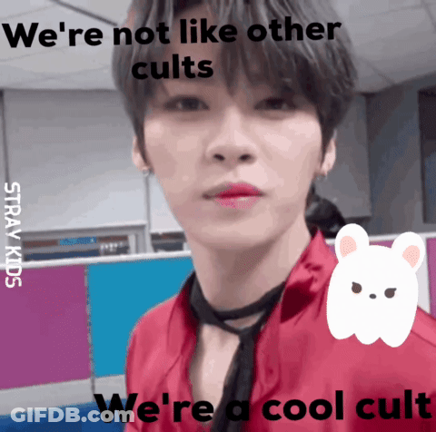 A Picture Of A Boy With The Words We 'Re Not Like Other Cults GIF