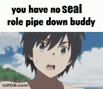 A Picture Of A Boy With The Words You Have No Seal Role Pipe Down Buddy GIF