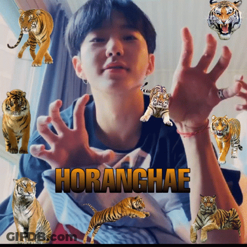 A Picture Of A Boy With Tigers Around Him And The Name Horanghae On The Bottom GIF