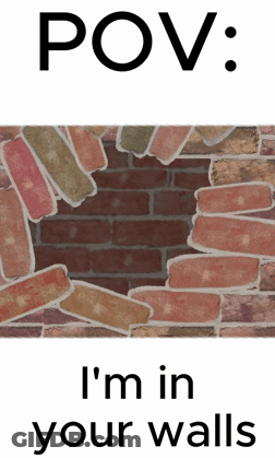 A Picture Of A Brick Wall With The Words Pov I 'M In Your Walls GIF