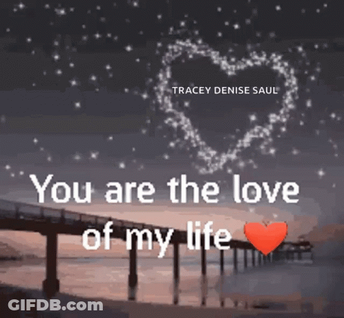 A Picture Of A Bridge With The Words " You Are The Love Of My Life " Written On It GIF