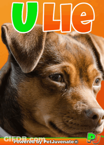 A Picture Of A Brown Dog With The Name Ulie Written Above It GIF