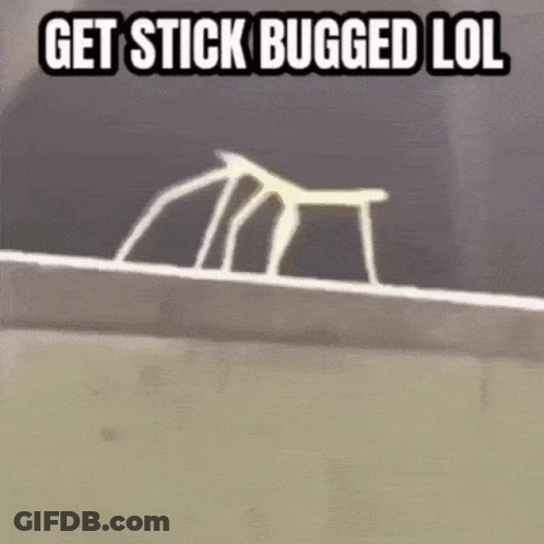 A Picture Of A Bug With The Words Get Stick Bugged Lol On It GIF