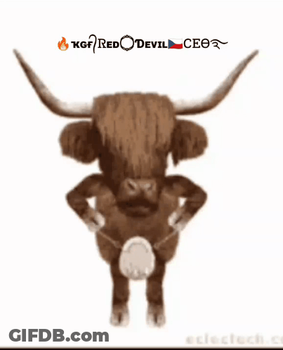 A Picture Of A Bull With The Words Kgf Red Devil Ceo GIF