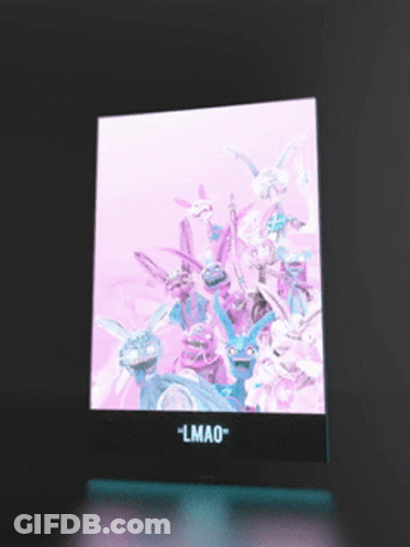 A Picture Of A Bunch Of Rabbits With The Words " Lmao " On The Bottom GIF