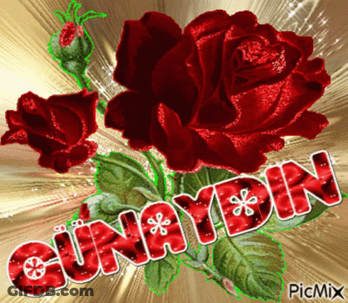 A Picture Of A Bunch Of Red Roses And The Word Cunayan GIF