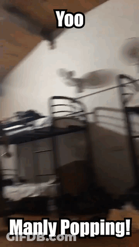 A Picture Of A Bunk Bed With The Words Manly Popping GIF