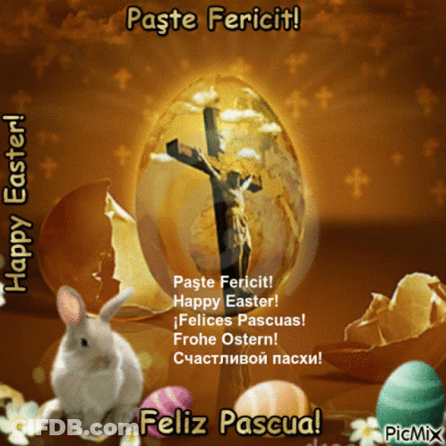 A Picture Of A Bunny And Easter Eggs With The Words Paste Fericit GIF