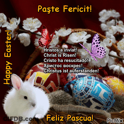 A Picture Of A Bunny And Easter Eggs With The Words Paste Fericit GIF