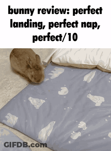 A Picture Of A Bunny Laying On A Blanket With The Caption Bunny Review Perfect Landing Perfect Nap Perfect / 10 GIF