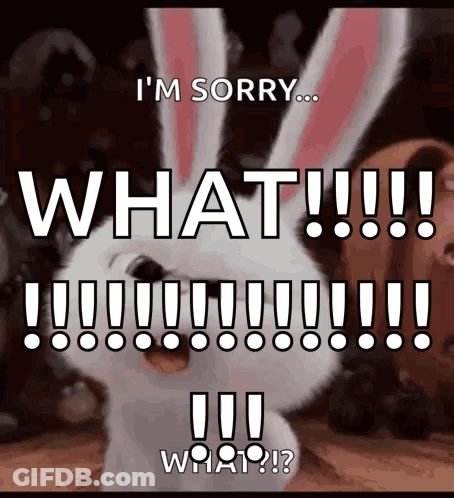 A Picture Of A Bunny That Says I 'M Sorry What What GIF