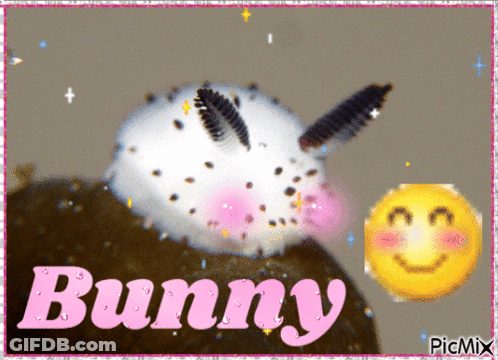 A Picture Of A Bunny With A Smiley Face GIF