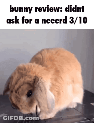 A Picture Of A Bunny With The Words Bunny Reviews Didnt Ask For A Neeerd 3/10 Below It GIF