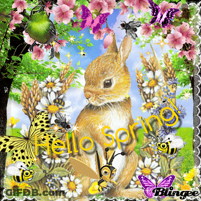 A Picture Of A Bunny With The Words " Hello Spring " Written On It GIF
