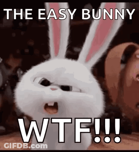 A Picture Of A Bunny With The Words " The Easy Bunny Wtf !!! " GIF