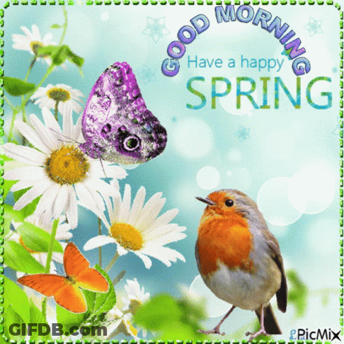 A Picture Of A Butterfly And A Bird With The Words Good Morning Have A Happy Spring GIF