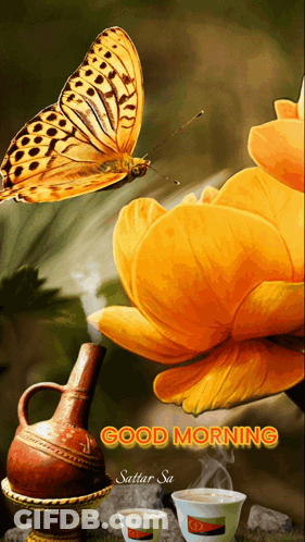 A Picture Of A Butterfly And A Flower With The Words Good Morning On It GIF