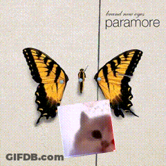 A Picture Of A Butterfly And A Picture Of A Cat On A Paramore Album GIF