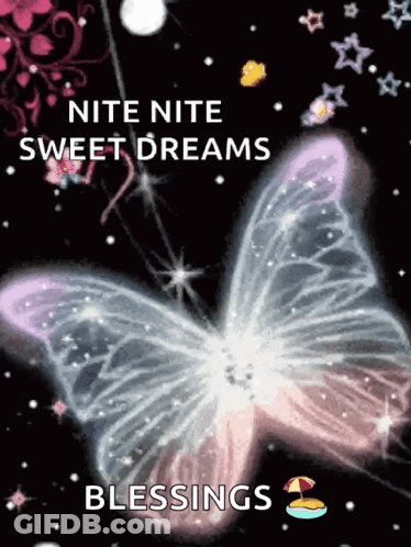 A Picture Of A Butterfly With The Words " Nite Nite Sweet Dreams Blessings " Below It GIF