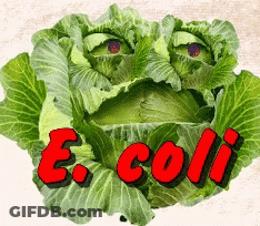 A Picture Of A Cabbage With The Word E.coli In Red GIF
