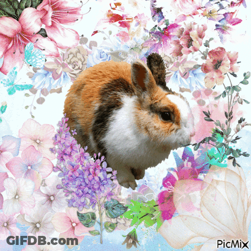A Picture Of A Calico Rabbit Surrounded By Flowers And Butterflies With Picmix Written On The Bottom GIF