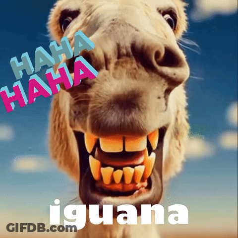 A Picture Of A Camel With The Words " Haha Haha Iguana " Written On It GIF
